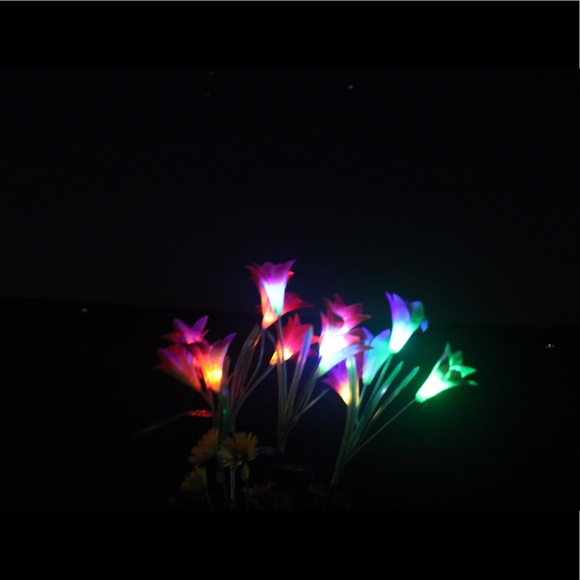 Meet your Posher, Jimmy - Picture 3 of 3